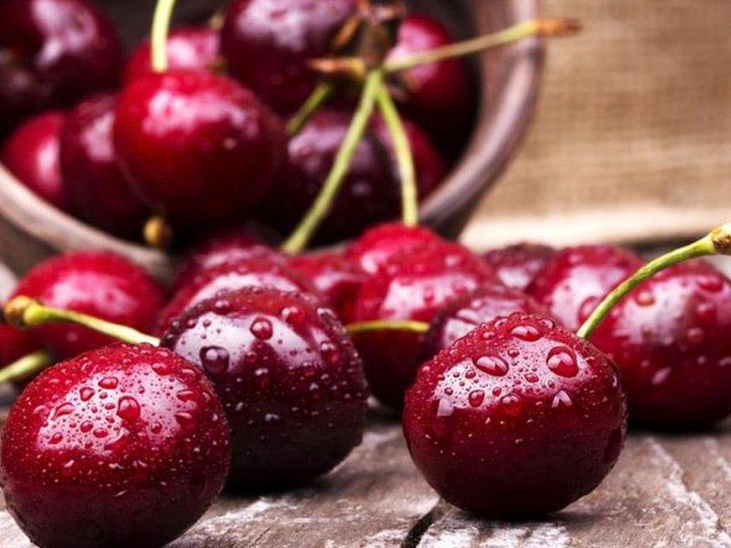Вишня купить саженцы из питомника в Нефтекамске